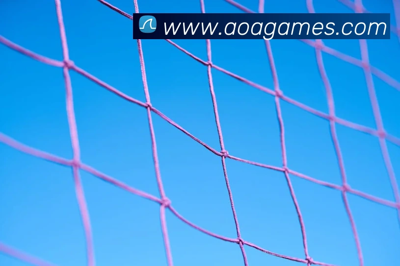 AOA sports官网APP 封面图